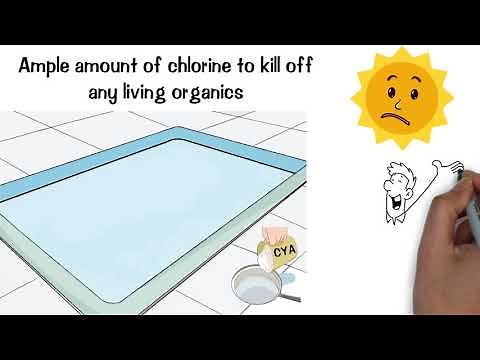 When Do I Add Chlorine To My Pool?