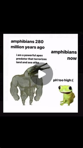 Extinct Animals Facts on Instagram: "Around 370 million years ago, in the Devonian period, the first amphibians evolved from lobe-finned fish like modern coelacanths and lungfish. These fish had developed leg-like fins with digits, allowing them to crawl on the sea floor and occasionally onto land using primitive lungs. Over time, their fins evolved into limbs, making them the ancestors of all tetrapods, including amphibians, reptiles, birds, and mammals. Despite these adaptations, they still sp