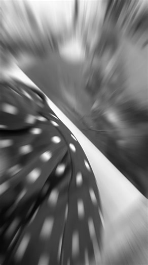 mama_jess_2024 on TikTok