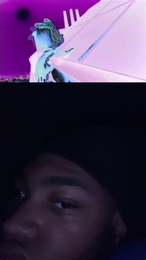 Pj masks in g major 7!