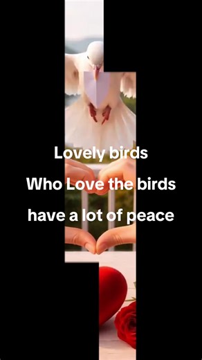 Birds: Peaceful Creatures Bringing Serenity