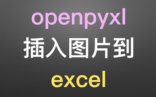 使用 python库 openpyxl 把图片插入到 excel 表格 实战