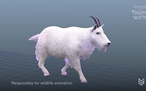 《地平线-零之曙光》野外生物 动作拆解 Horizon Zero Dawn - animation reel