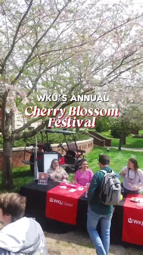 WKU Global Ohanami Festival: Cherry Blossoms Bloom