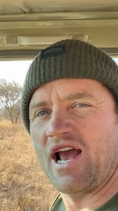 Traffic jams here on Imire are VERY distracting! 🤠🦏 | Reilly Travers