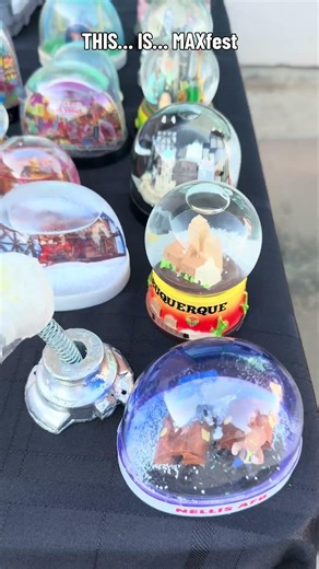 Living Coast let me set up a table. MAXfest. Items that represent That Guy’s past, present, future.