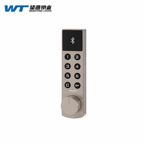 [Hot Item] Wangtong Security Intelligent Hidden Key Digital Code Furniture Locker Door Lock Bluetooth Function