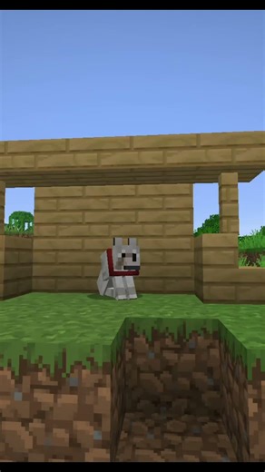 One Like For My Wolf In Minecraft