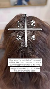 7.3K views · 63 reactions | ✨Easy Grey Coverage Using @redken Color...