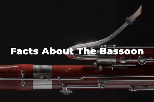16 Fun And Interesting Facts About The Bassoon