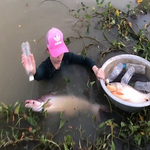 22K views · 668 reactions | Most Dangerous Fish Trapping Skills With Giant Centipede | Survival with Emma | Facebook