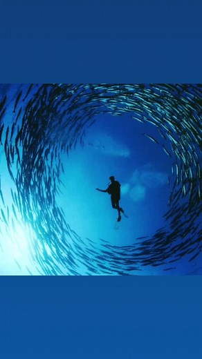 John Reardon on TikTok