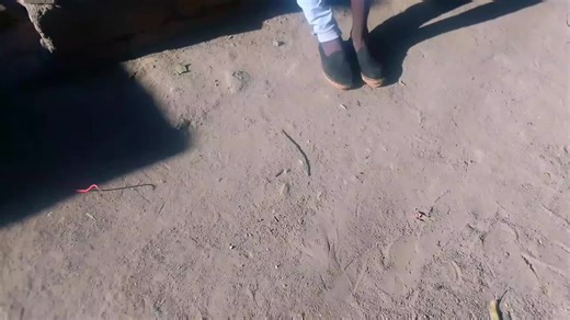 #stress killer comedy