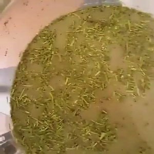 2.2K views · 37 reactions | #BeaverScientific using the Ai glass reactor as a crude oil extractor. Feeding into the Ai rotary evaporator right afterwards!  Check them out on Instagram: @extraction_chris | Ai Vacuum | Facebook