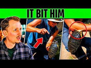 He Picked up a Turtle… Then This Happened | Zoologist Reacts