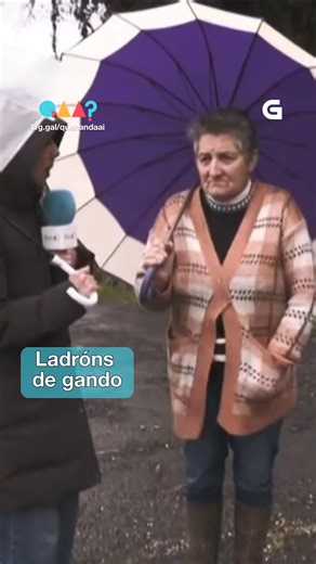 Intento de roubo de gando en San Xoán de Vea, no concello da Estrada. Toda a nosa forza para Pilar e os seus animais 🐮 Podes ver o último programa do 'Quen anda ai?' en tvg.gal/quenandaai | Televisión de Galicia