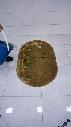 #satisfying #asmr #carpetcleaning