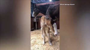 30K views · 197 reactions | YOUR TURN: A training facility for the...