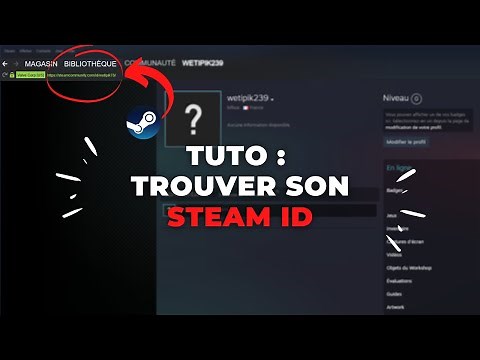 Tuto : Comment trouver son SteamID ?