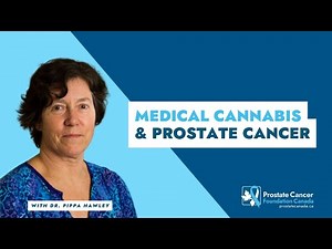 Cannabis and Prostate Cancer