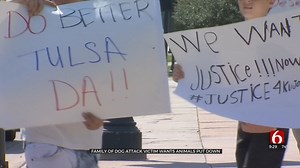 Family Of Man Killed In Dog Attack Upset Dogs Are Still Alive