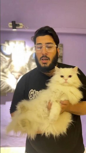 Preventing Urinary Tract Infection in Male Cats: Essential Tips and Remedies #cat #catcare #kitten