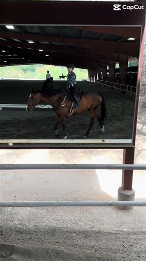 miss #EMILY #horse #equestrianjourney #equestrian #hearthorse