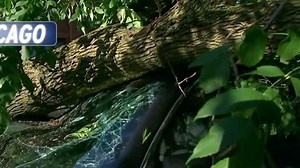 One dead, nearly 1 million without power in Midwest after severe wind storm