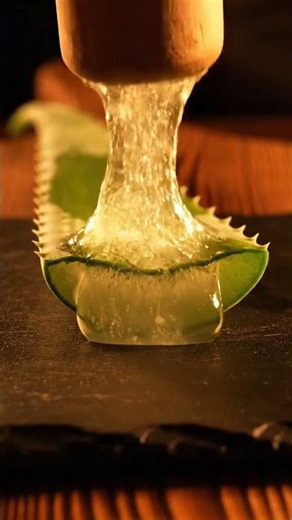Satisfying ASMR | Aloe Vera Leaf Smashing | crisp snapping