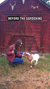 Support your immune system, cognitive function, energy sustainability, and more with premium wellness products made from organic mushrooms. Use code ‘HEALTHYJAN’ to save 20% today. | North Spore