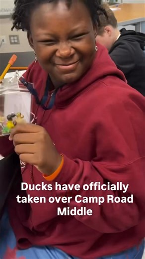 Duck overload! | Camp Road Middle School