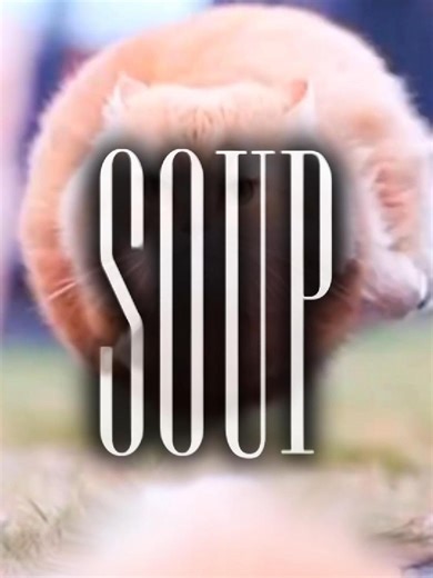 Spinning Cat Hardtekk Edit Compilation