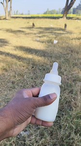 Very runing fast baby monkey Happy monkey 00667 | Mini Dogs Fun