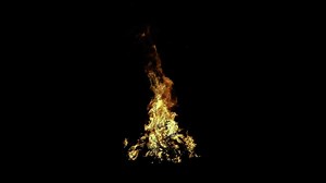 Download Big campfire with branch on black background for free