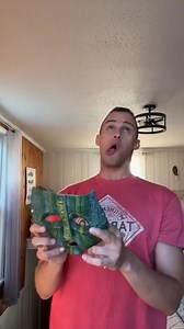 1.4M views · 10K reactions | FINALLY GOT THE SUIT #impressions #voice #actor #mask #movie #jimcarrey #facialexpressions #fyp | Pets are Angels | Facebook