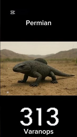 The Evolution Of Hippos