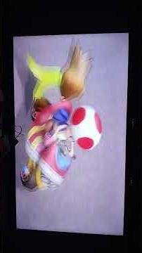Mario kart wii luigi circuit with Toad magikruser