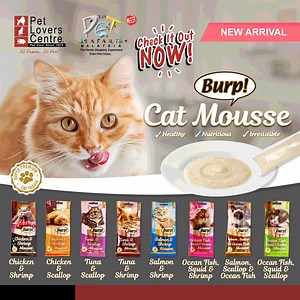 22K views | Unveiling the latest purr-fection, Burp! Cat Mousse! ️ Spoil your feline friend with these delectable treats, lovingly enriched with taurine to support their muscle health, vision, digestion, and immunity!  Shop today at https://www.petloverscentre.com.my/products/cat-ocean-fish-squid-scallop-mousse-60g-15gx4 or visit your nearest Pet Lovers Centre today! #myPLC | Pet Lovers Centre Malaysia | Facebook