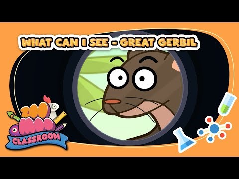 Let's play I SPY! ⁨@ZooMoo⁩ | #kidslearning #kidsgames