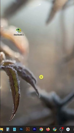 How to fix Incompatible Windows Settings Error in BlueStacks 5