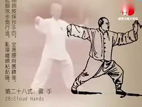 Yang Cheng Fu traditional Yang-style Tai chi---taolu "85"