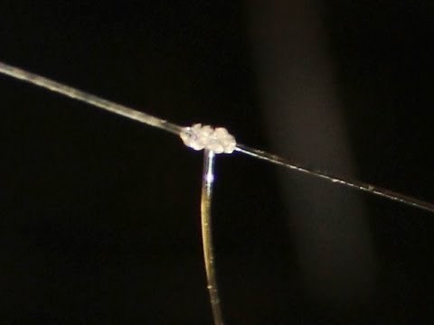 How To Rig With Two Streamers ~ Blood Knot Dropper