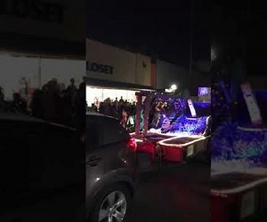 Parade Float Dogs (Foam Dogs)