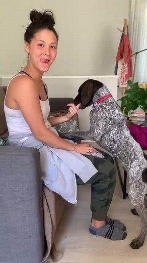 it tickles 🤗 #dogmom #pointerdog #atypical
