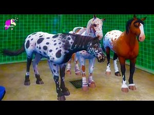 I Buy All 3 NEW Knabstrupper Horses in Star Stable Online - Horse Video Game
