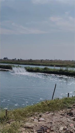 This Sudden Water Splash Video Is So Satisfying 😍 | Watch Till End