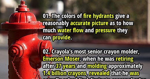 100 Interesting Facts About Colors - Fact Republic