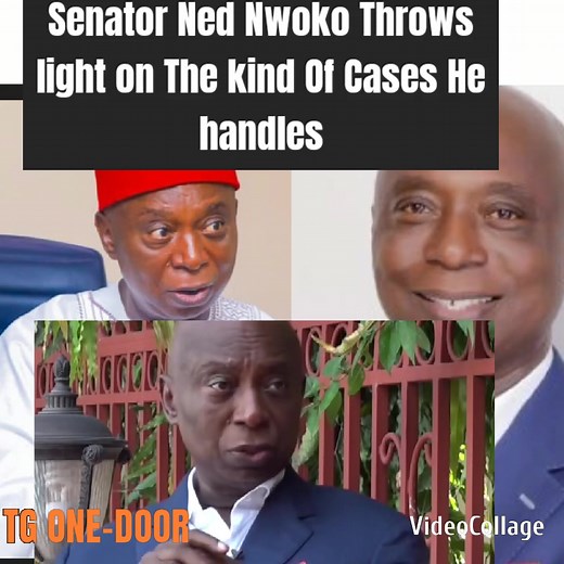 Senator Ned Nwoko has disclosed the kind of Cases he handles as a lawyer. #fbviralpost2025シ #breelsfypシ゚viralfbreelsfypシ゚viral #fbfollowersandviewers #senatornednwoko | T G ONE- DOOR