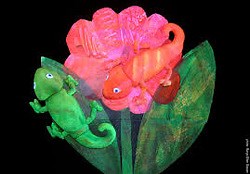 The Mixed Up Chameleon