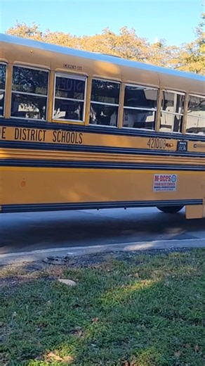 2021 Blue Bird Vision Gasoline #421008